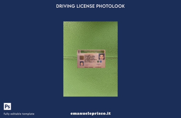 modello anteriore photolook per patente di guida statale India Telangana in stil